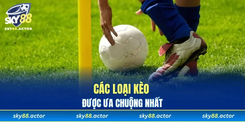 Các loại kèo được ưa chuộng nhất