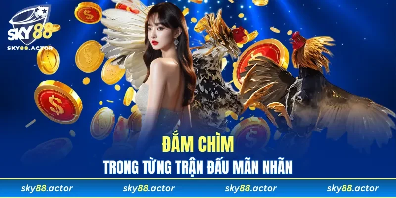 Đắm chìm trong từng trận đấu mãn nhãn