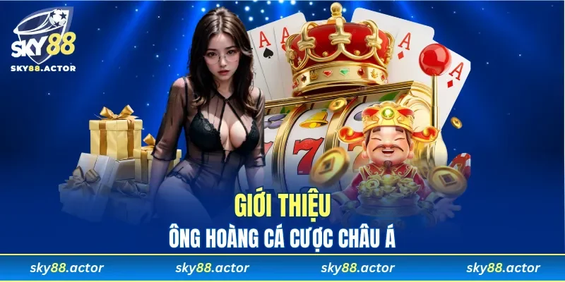 Giới thiệu ông hoàng cá cược châu Á