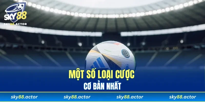 Một số loại cược cơ bản nhất