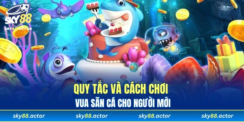 Quy tắc và cách chơi vua săn cá cho người mới